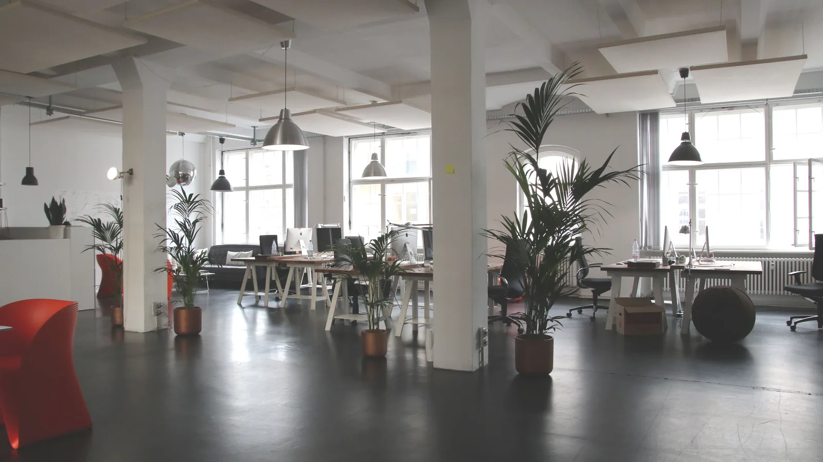 Spacious loft office with plants and columns