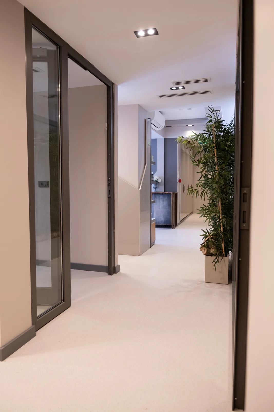 Clean glass-walled hallway